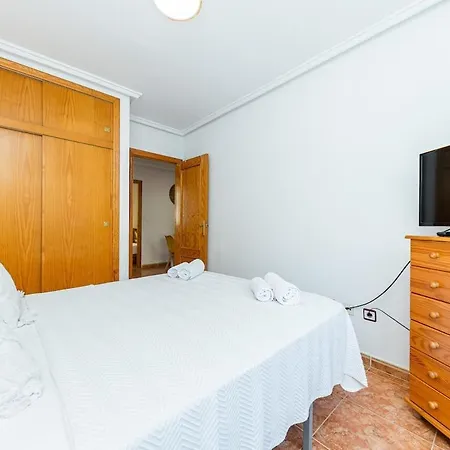 公寓 Loma 40 托雷维耶哈